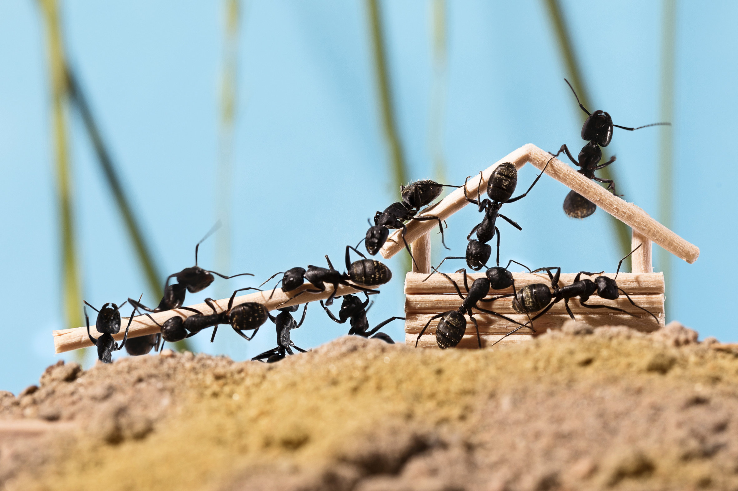 AI Use Cases for Energy