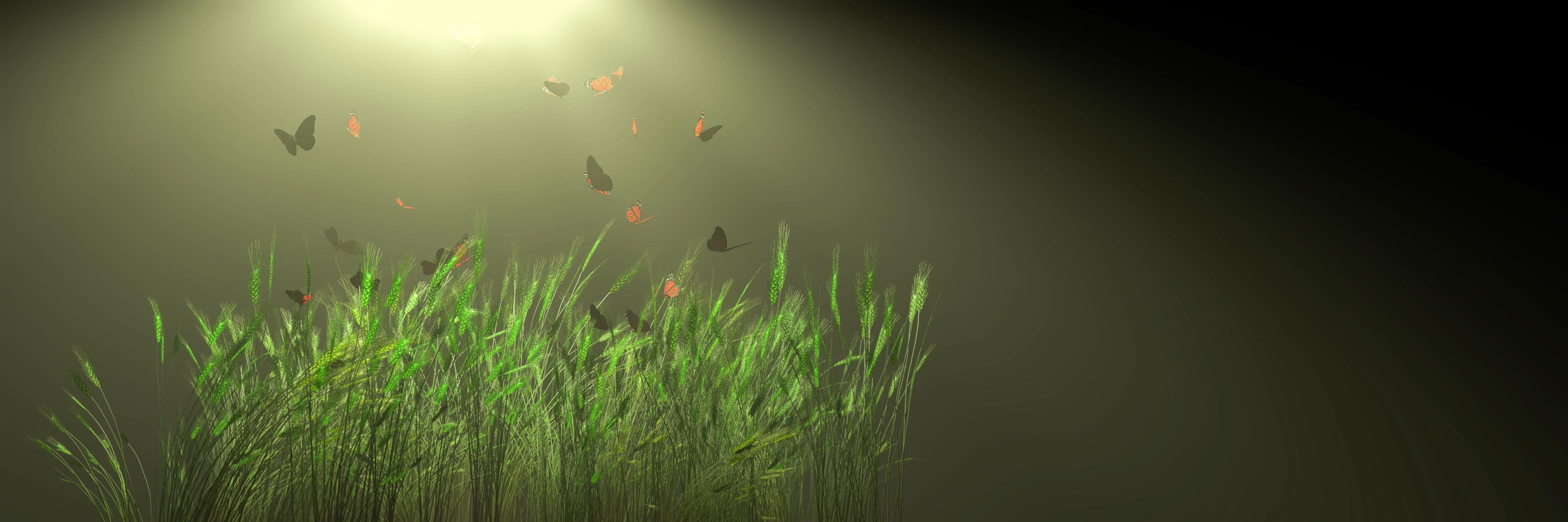 Training & Knowledge Transfer